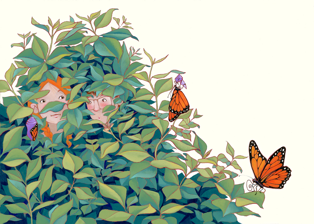 Farfalle_pag 26-27 modifica sfondo